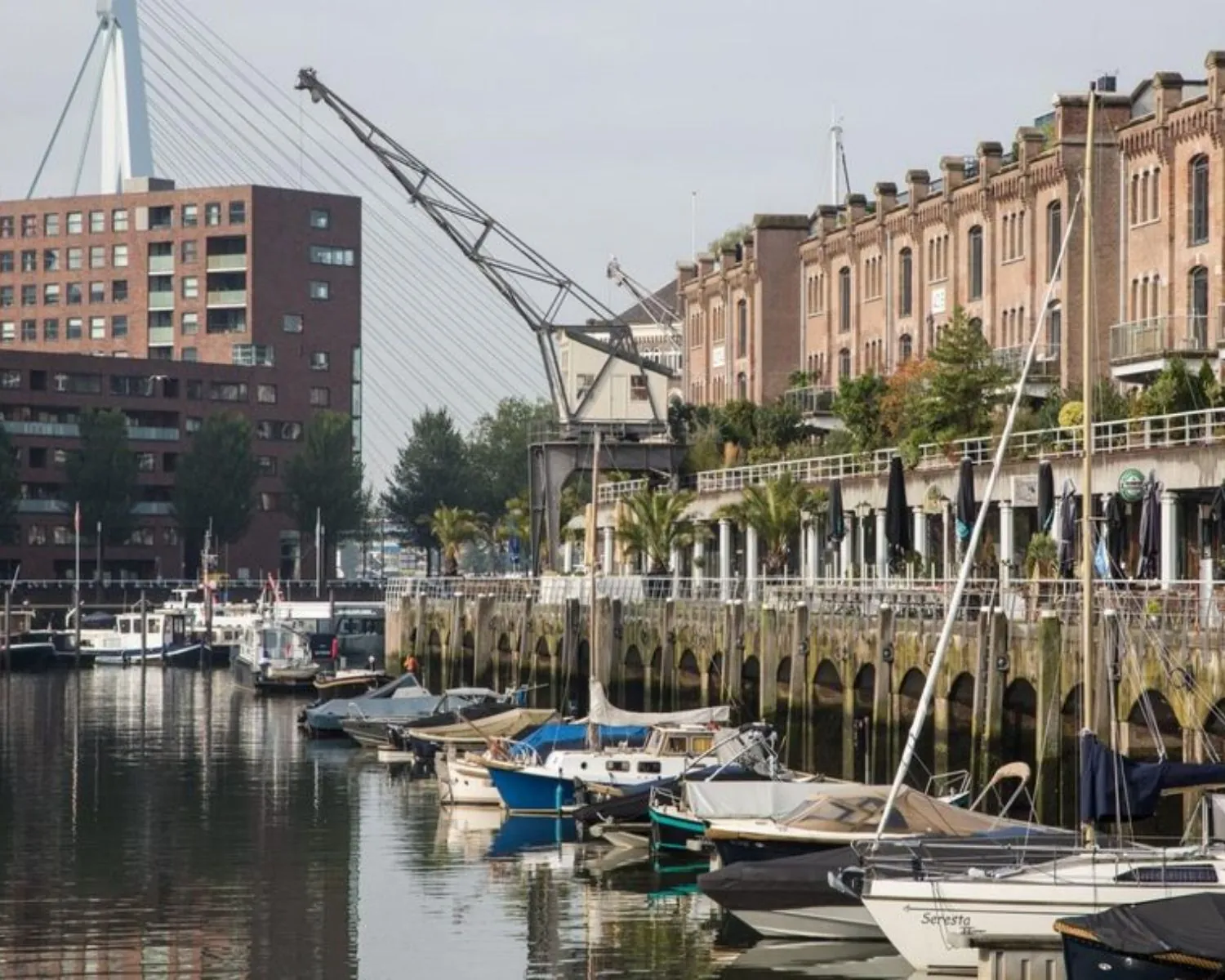 Haven met aangemeerde boten en gerenoveerde pakhuizen aan de Entrepothaven in Rotterdam, met zicht op een hijskraan en de Erasmusbrug.