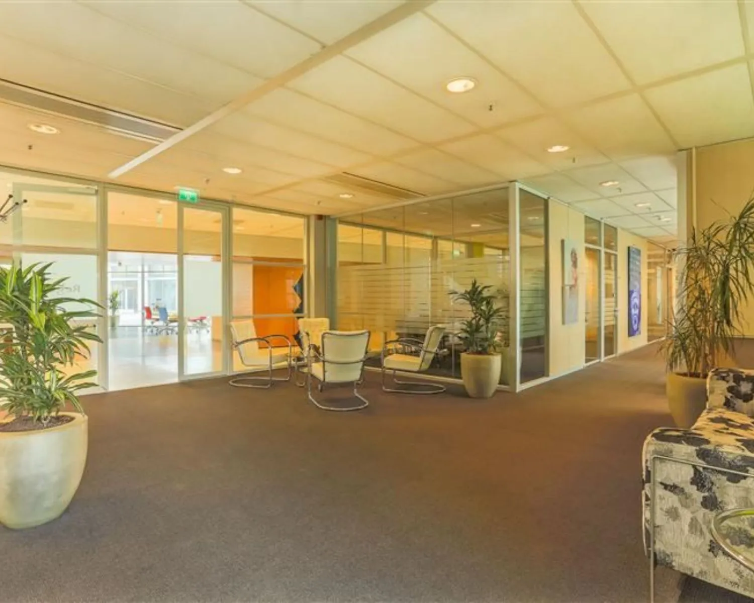 Moderne kantoorruimte met glazen vergaderzalen, zitgelegenheid en planten aan de Avenue Céramique 221.