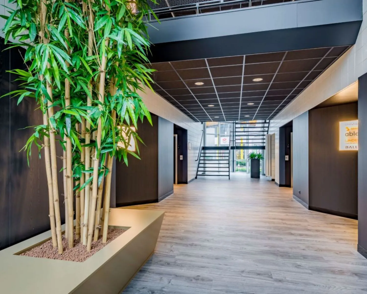 Moderne kantoorruimte aan de Europalaan 6 in Den Bosch met een lichte hal, bamboeplant en centrale trap.
