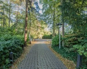 Op een met bomen omzoomd pad naar kantoorruimte aan de Mozartlaan 27 in Hilversum.