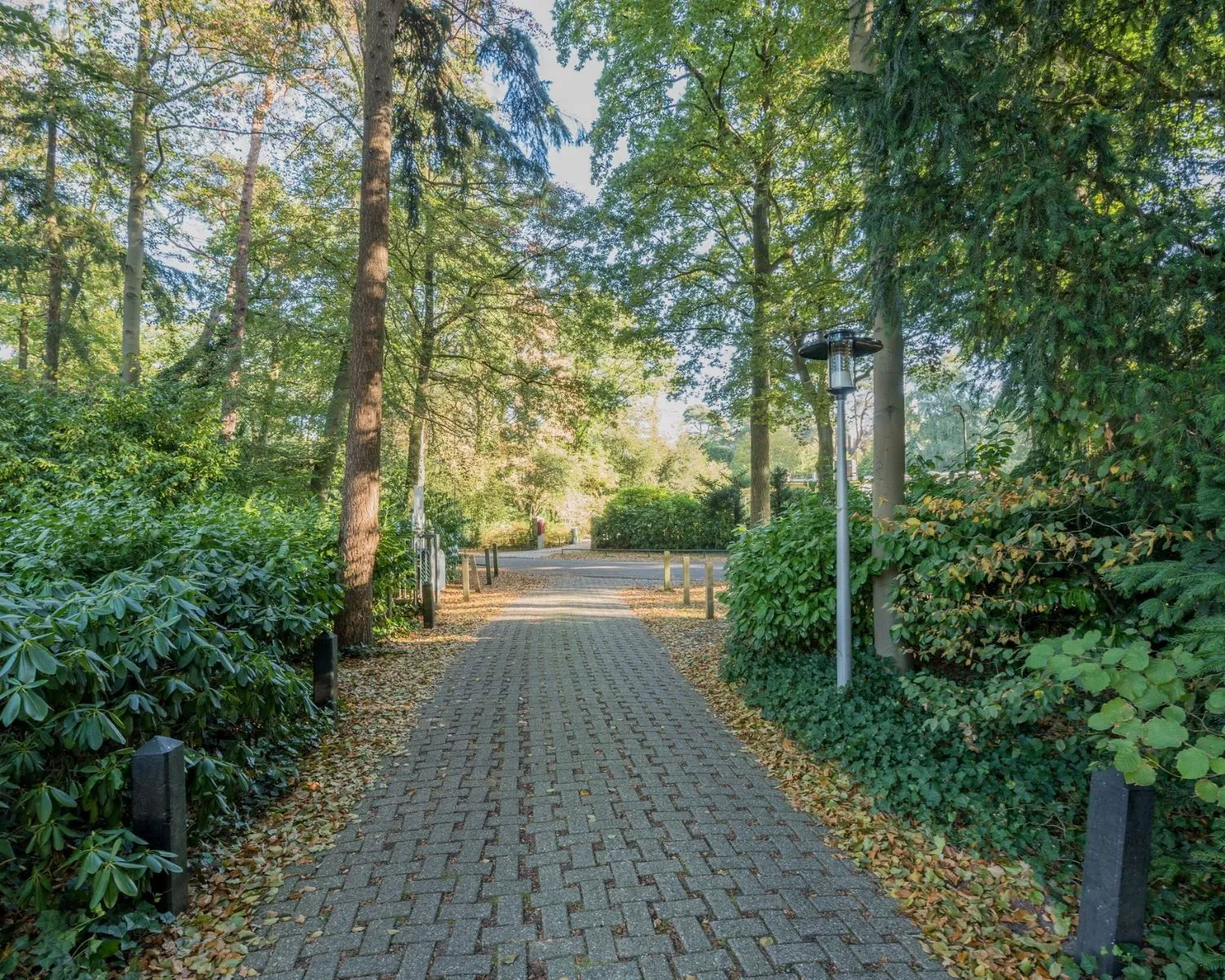 Op een met bomen omzoomd pad naar kantoorruimte aan de Mozartlaan 27 in Hilversum.