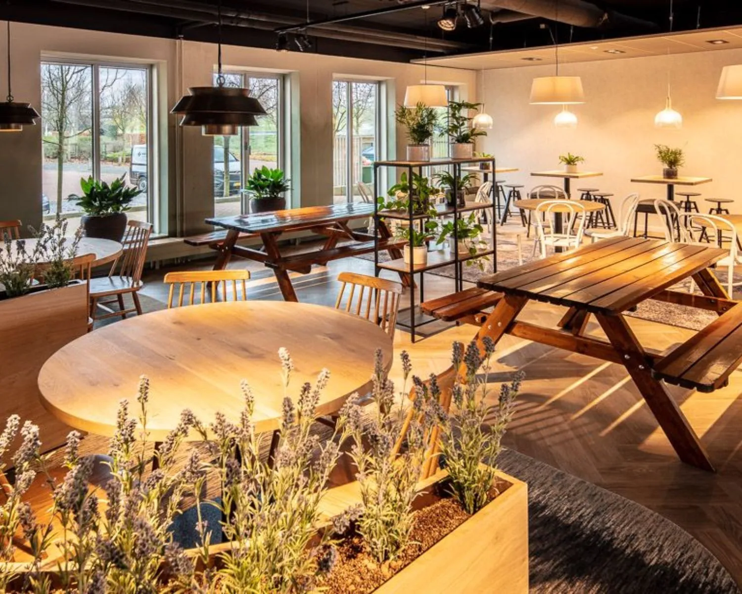 Moderne en sfeervolle kantoorruimte in Arnhem met houten tafels, planten en grote ramen die veel daglicht binnenlaten.