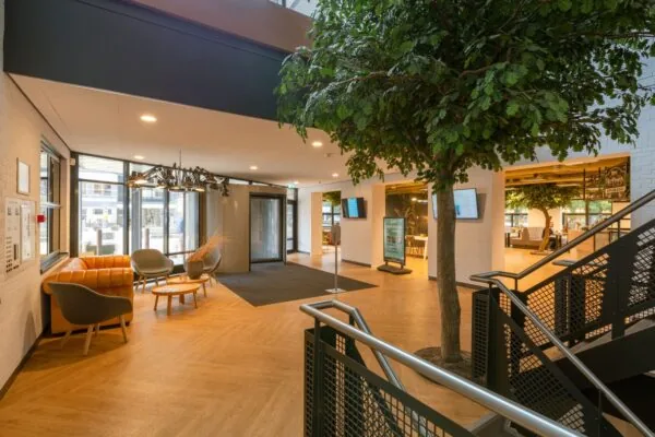 Moderne en open kantoorruimte met zithoek, grote binnentuinboom en ontvangstruimte in Olympia 1-4.