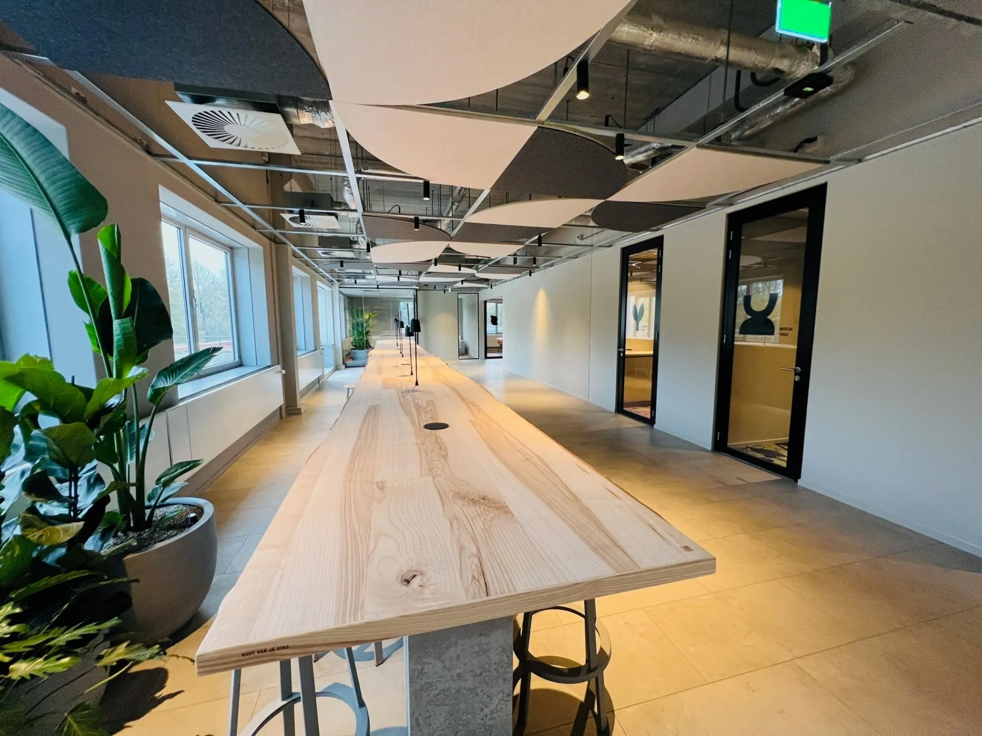 Moderne kantoorruimte aan de Varrolaan 100 in Utrecht met een lange houten vergadertafel, grote ramen en groene planten.