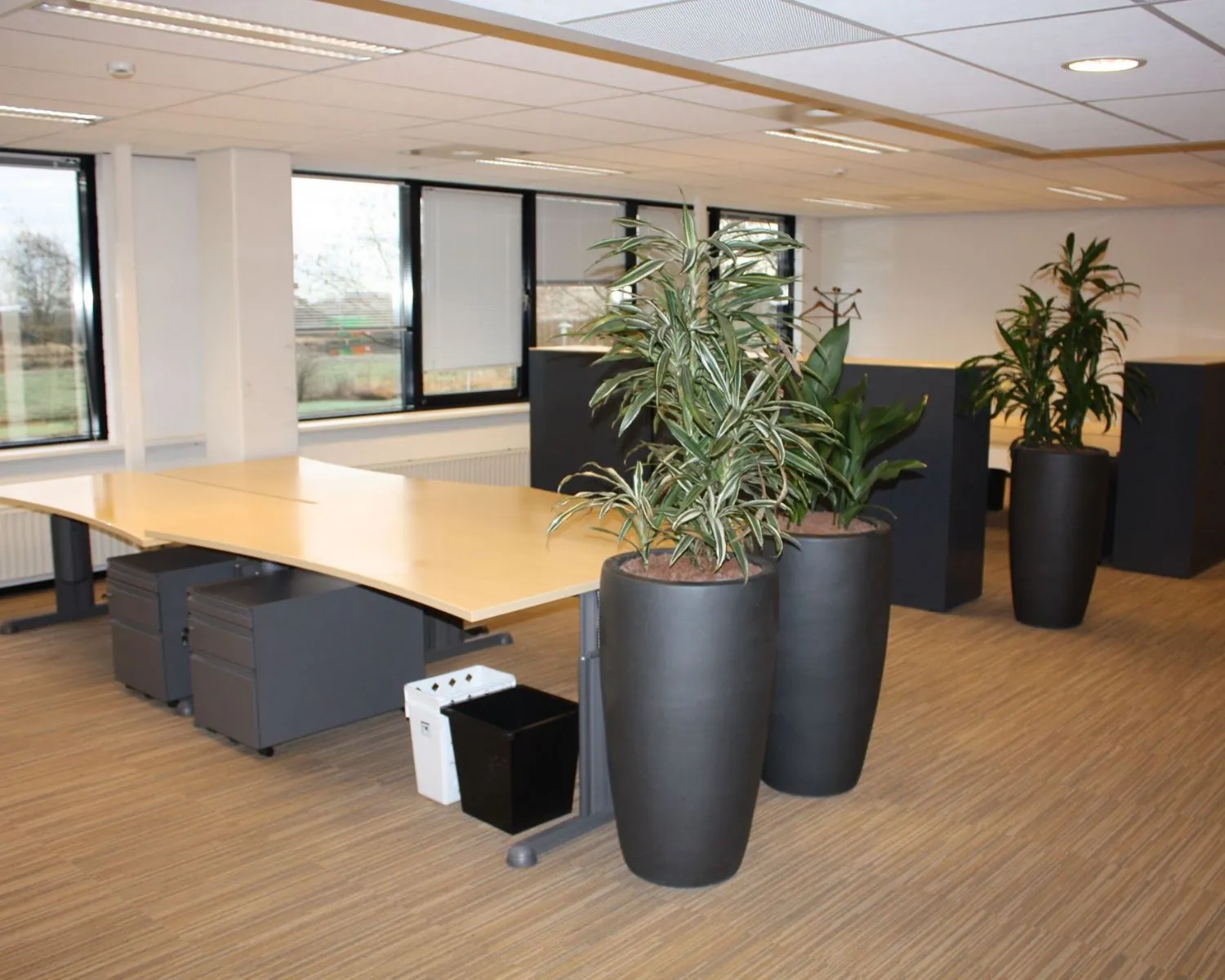 Moderne kantoorruimte met bureaus, grote plantenbakken en veel natuurlijke lichtinval aan de Elisabethhof 21-23.