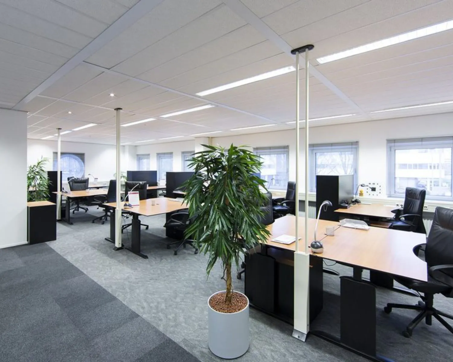 Moderne kantoorruimte met meerdere werkplekken, bureaus en planten aan de Siriusdreef 17 in Hoofddorp.