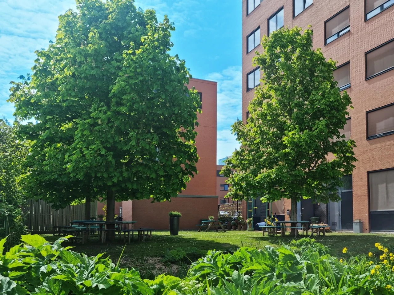Groene binnentuin met picknicktafels tussen kantoorgebouwen aan de Lange Kleiweg 50-62 in Rijswijk.