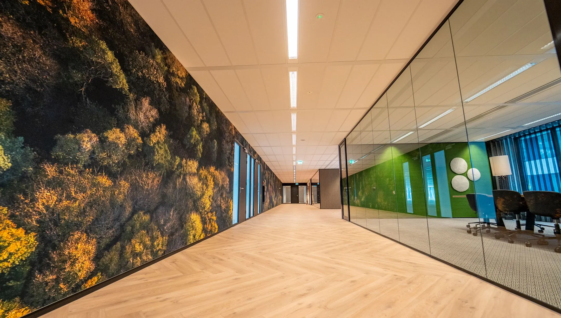 Moderne kantoorruimte aan de Lange Kleiweg met glazen vergaderruimte en wanddecoratie van een luchtfoto van een bos.