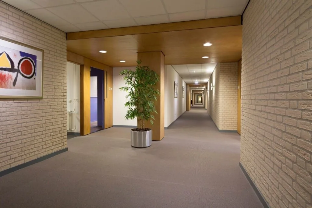 Moderne gang in een kantoorpand aan de Kanaaldijk-Zuid 19 met een plant, kunst aan de muur en houten deurkozijnen.