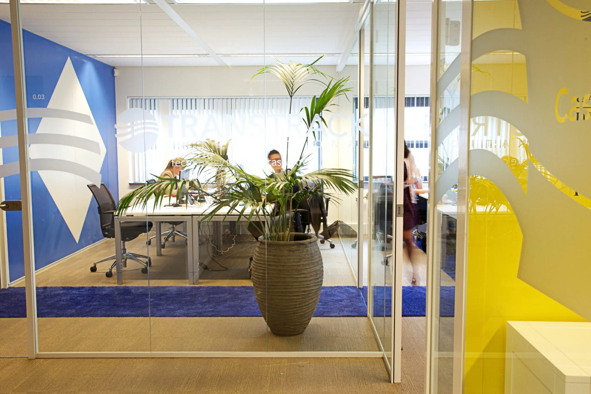 Moderne kantoorruimte van Transtrack International met glazen wanden, een grote plant en werkende mensen aan bureaus.